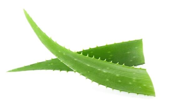 márka Fungeent mand Aloe Vera -t tartalmaz